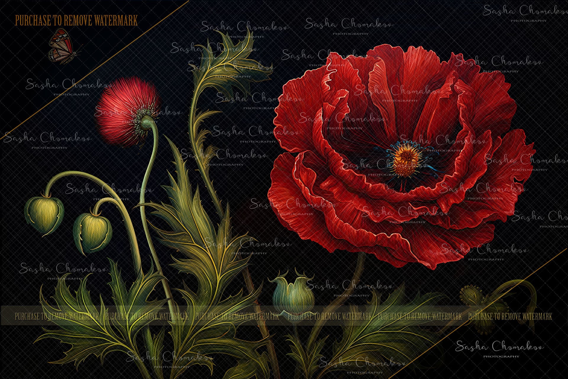 Digital  background Painted red poppy   Ai generated