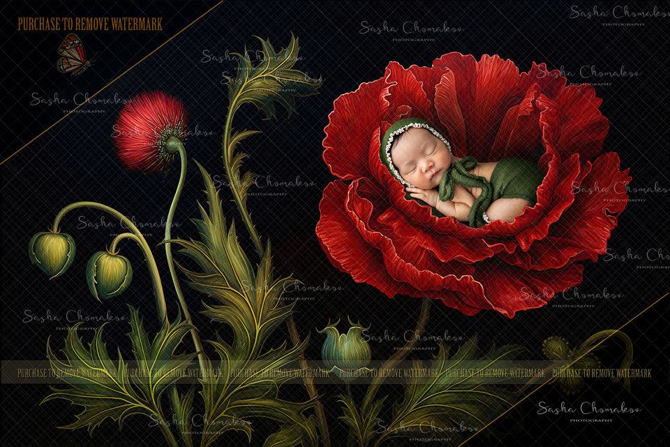 Digital  background Painted red poppy   Ai generated
