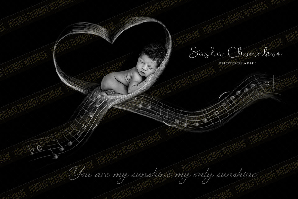 Digital Backdrop