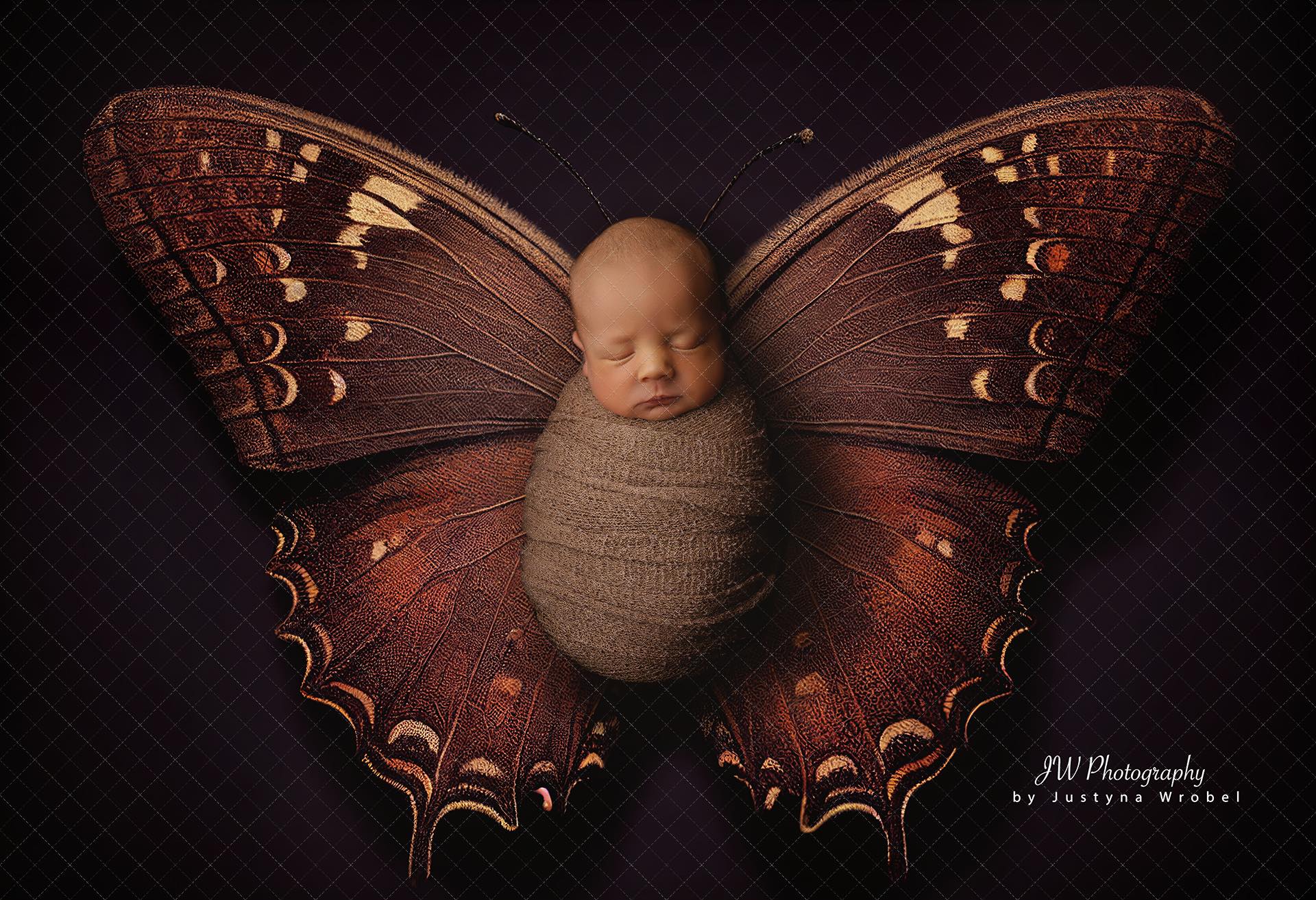 Backdrop butterflies dark brown and blues  Ai generated