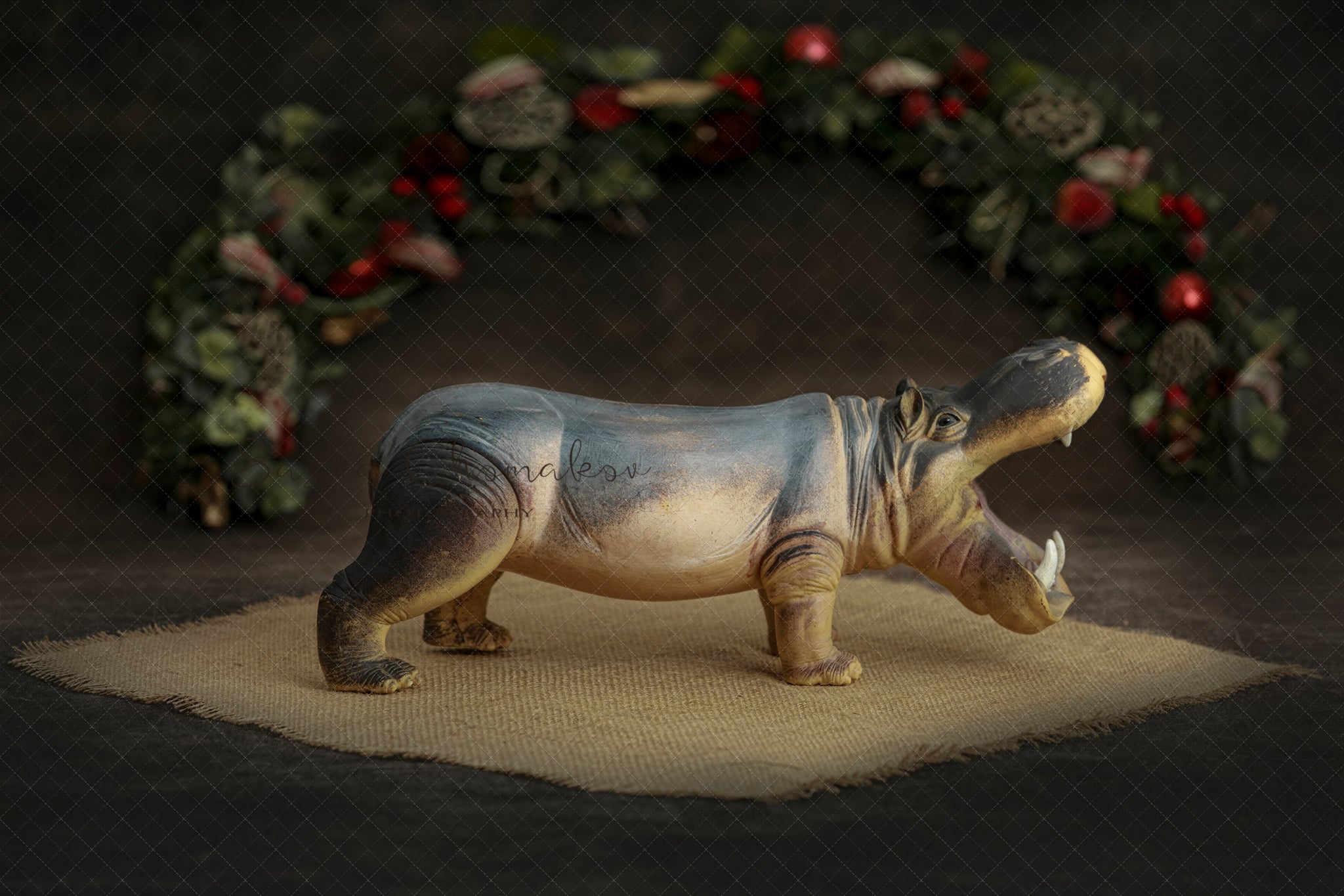 Digital background  hippo