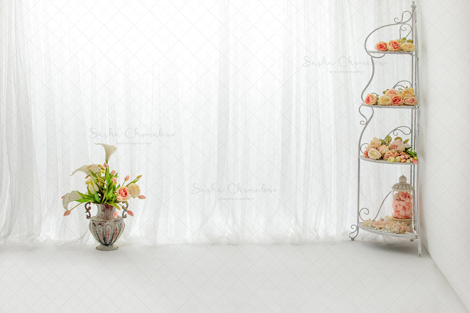Digital Backdrop