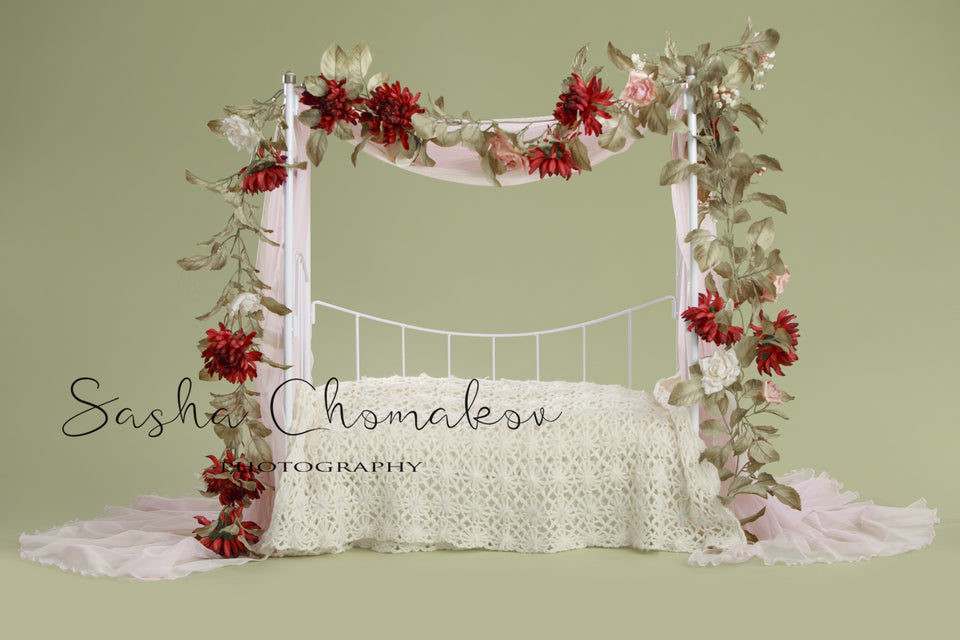Digital Backdrop