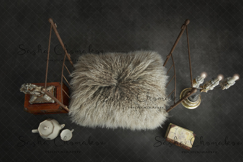 Digital Backdrop