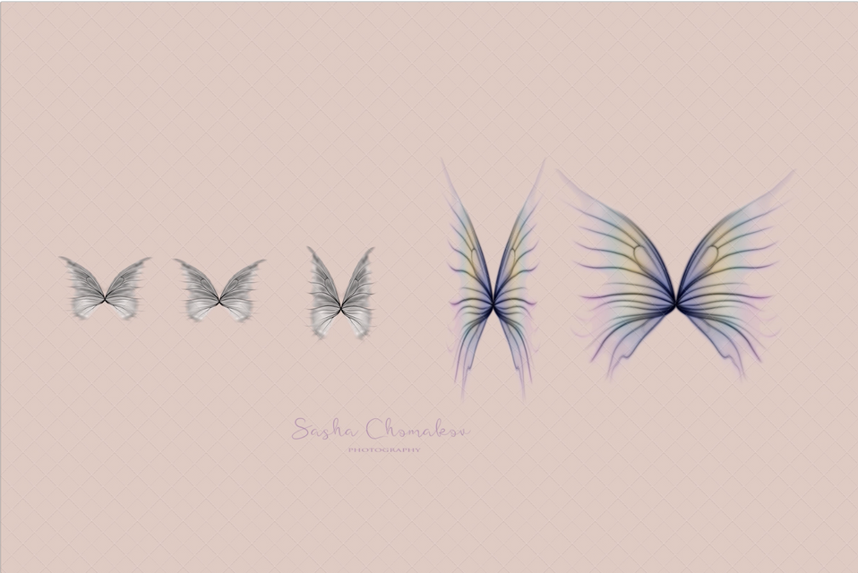 Butterflies animated overlays  OVERHEAD look