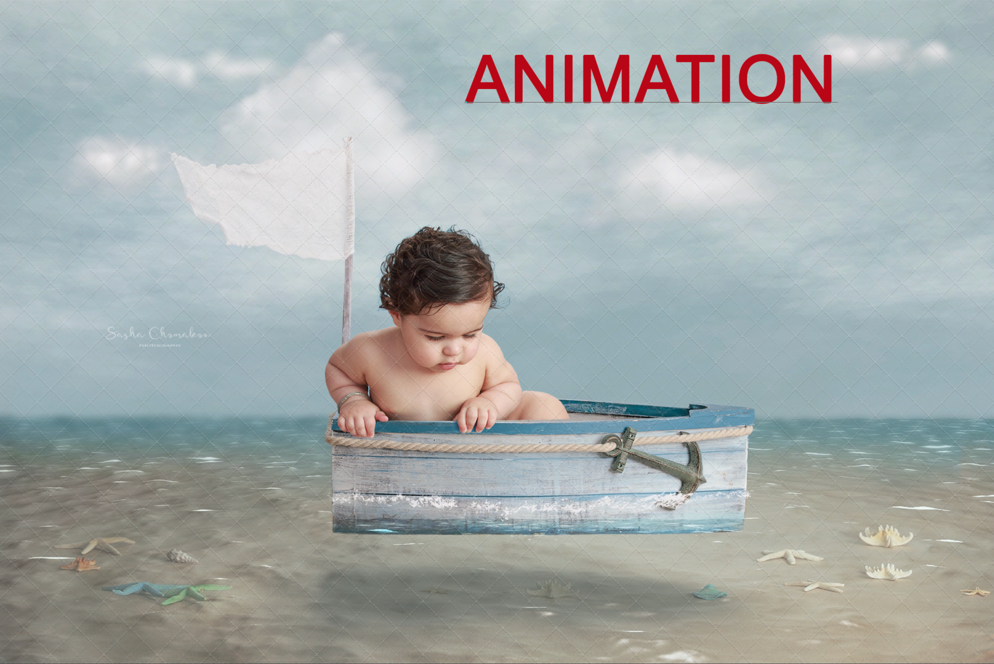 Animated Boat with fish animation