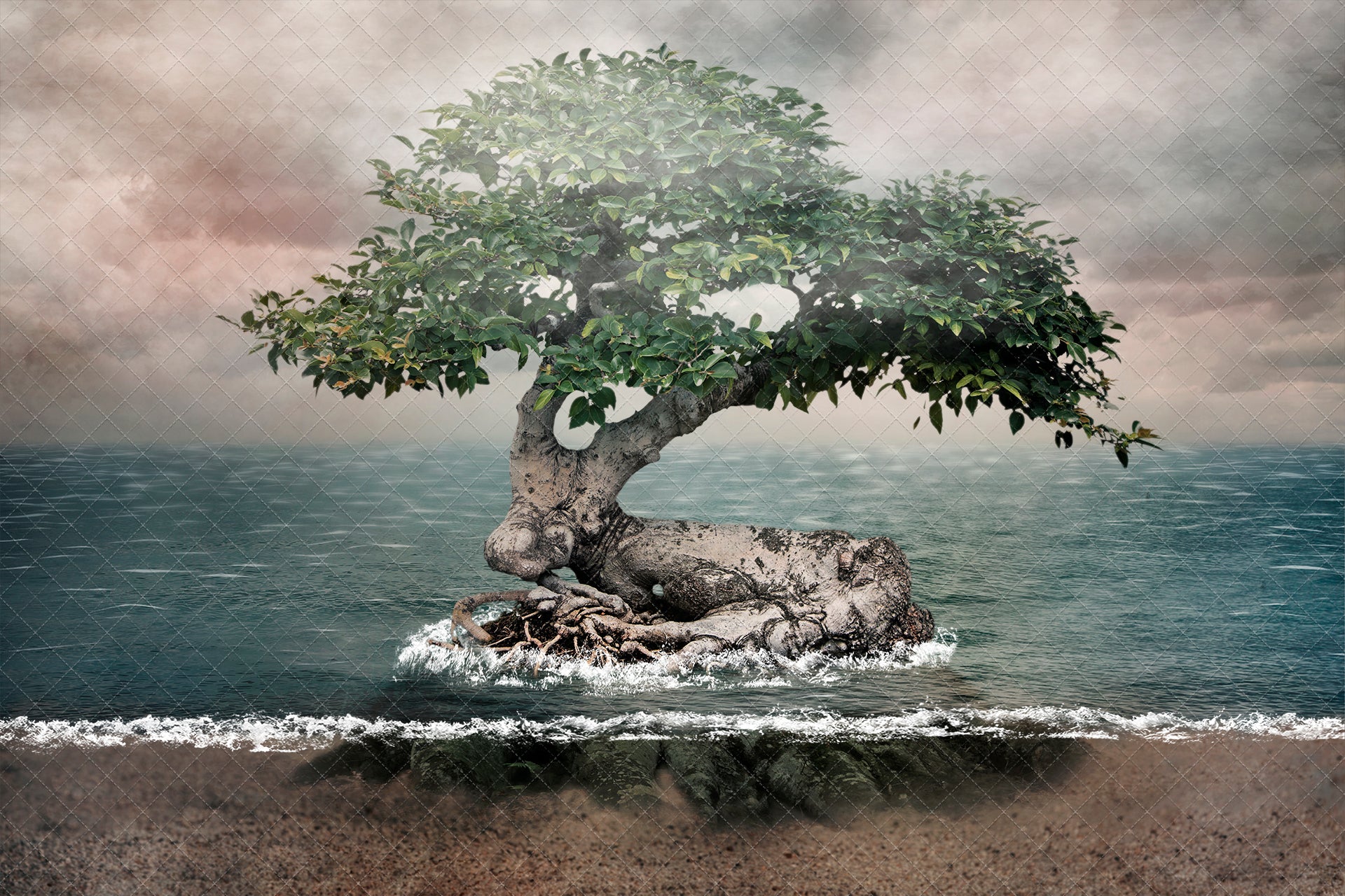 Mermaid the Tree island